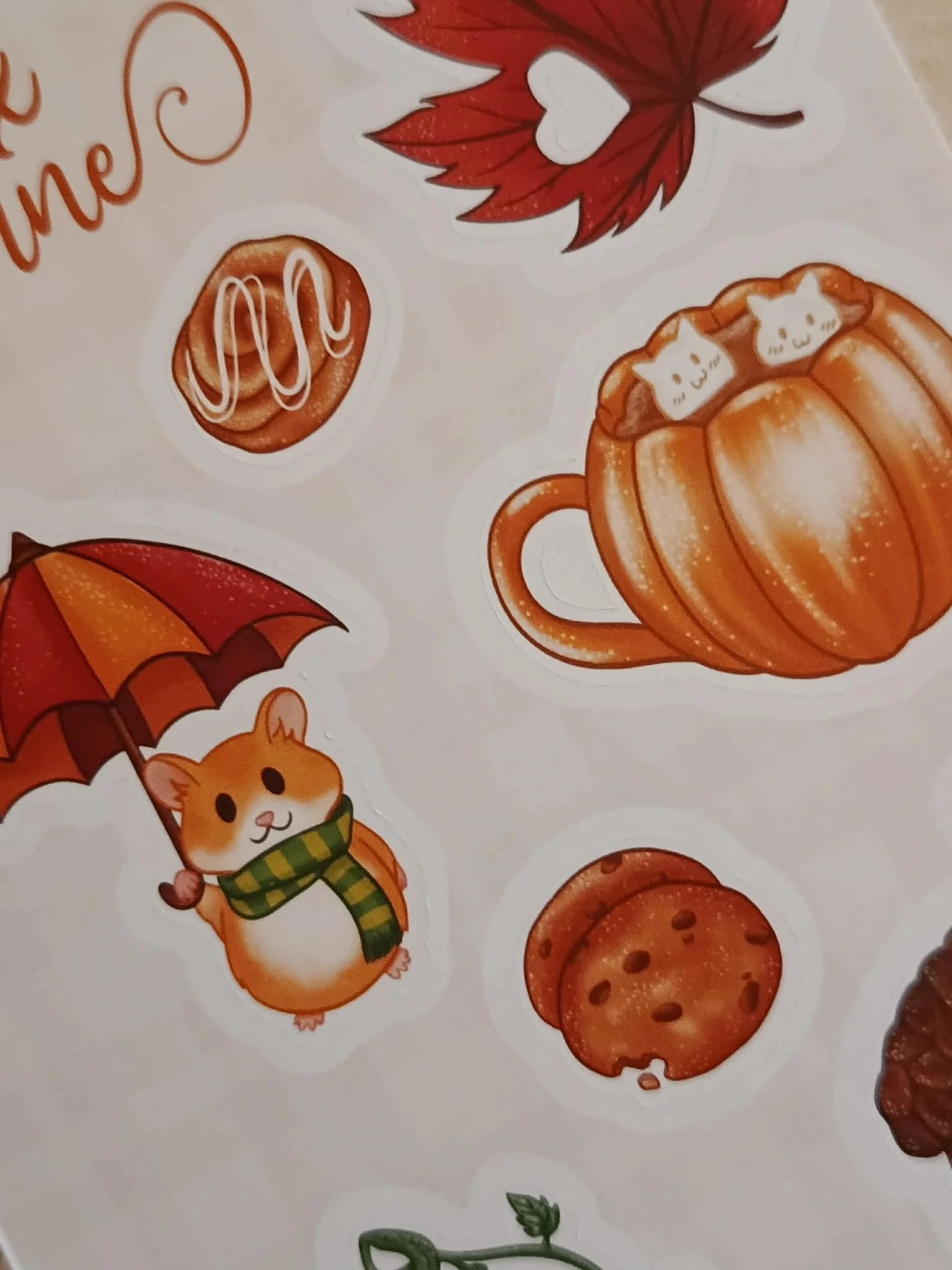 La collection automne au complet